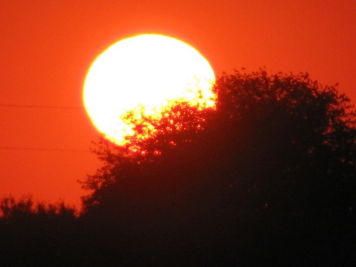 Product picture Tone Fusion