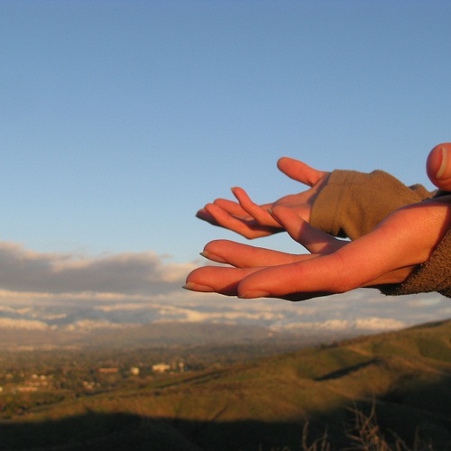 Product picture Morning Breeze